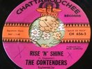 Wild Unknown Garage Surf Stomper The Contenders Rise & Shine / Johnny B. 45 HEAR