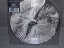 Paramore Brick by Boring Brick Picture Disc Vinyl 7