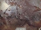Cocteau Twins Head Over Heels 1983 UK vinyl LP CAD313 [lp_record]