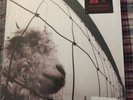 Pearl Jam Vs. LP NM 180 gm Audiophile vinyl remastered Versus Limited Edition