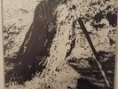 Chauves pourris - VATERLAND LP - Rock O Rama