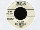 THE SQUIRES Walkin' on Herald Promo R&B Rocker 45 Hear