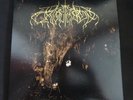 Wolves In The Throne Room 