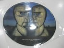 PINK FLOYD PICTURE DISC THE DIVISION BELL