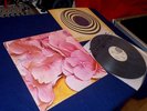 STILL LIFE SAME - ORIGINAL UK LP 1971 MINT SWIRL VERTIGO 1ST PRESS MONSTER PROG