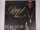 BIG L The Big Picture  2 x LP 12