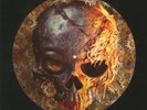 DEAD DAISIES, The - Burn It Down - Vinyl (LP)