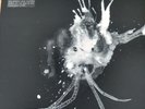 SIGUR ROS - ROUTE ONE LP VINYL RECORD STORE DAY 2018 LIMITED EDITION