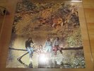 WINGS - WILD LIFE - VINYL LP PCS7142 PRINTED IN ENGLAND 1971