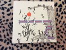 Sunny Day Real Estate 1993 7