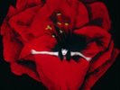 The Smashing Pumpkins-Adore  VINYL NEW