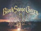 BLACK STONE CHERRY - Family Tree - Vinyl (2xLP)