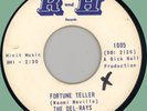 DEL-RAYS Fortune Teller / Dimples 45rpm R and H 1965 original ZTS899806-1A