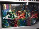 LED ZEPPELIN PICTURE DISC LP kashmir