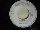 ELLE BOIT PAS, ELLE FUME PAS.... - MICHEL AUDIARD - SIM - 45 T PROMO RARE