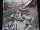 Sonic Youth  EVOL  2010 RSD  Limited 180 Gram Pink Vinyl LP   Sealed
