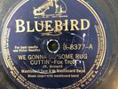 SEVEN Bluebird/RCA  WASHBOARD SAM  78 rpm 1930's-40s V to E+ BLUES