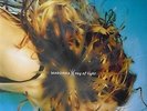MADONNA   Ray Of Light   12