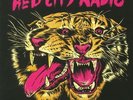 RED CITY RADIO - Skytigers - Vinyl (1-sided screen-printed LP + insert)