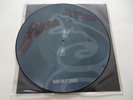 Metallica / Sad But True / Rare Vinyl  Picture Disc