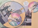PINK FLOYD WISH YOU WERE HERE LP PICTURE DISC W/LTD SLEEVE