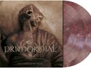PRIMORDIAL - Exile amongst the Ruins (NEW*LIM.300 PURPLE DLP + POSTER +DOWNLOAD)