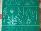 Tetragon - Nature Prog LP RE