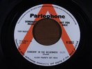 ALLEN POUND'S GET RICH = Searching In The Wilderness = MINT = PARLOPHONE Repro