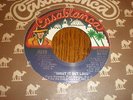 Kiss 45 Shout It Out Loud CASABLANCA PROMO