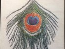 XTC ?– Homespun (The Apple Venus Volume One Home Demos) - RARE 12