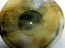 OLD USSR X-RAY RECORD ONE SIDE 78 RPM - RUSSIAN SONG UNKNOWN SINGER