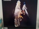 The Courteeners - Falcon Vinyl LP Original Release , RARE