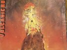 Buffalo Volcanic Rock Lp On Vertigo Swirl