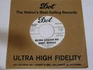 Randy Newman-Golden Gridiron Boy-ORIG. 1962 Dot Debut PROMO 45-CLEAN