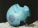 TROSS - The Overview Effect - Vinyl (LP)