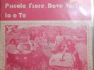 45 GIRI - I TEPPISTI - PICCOLO FIORE, DOVE VAI (MOLTO RARO)