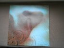 PINK FLOYD MEDDLE VINYL LP ORIG UK HARVEST TEXTURED SLEEVE 1971