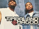 Timbaland & Magoo - Indecent Proposal / VG+ / 2xLP, Album