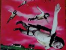 Alice Donut ?- The Untidy Suicides... - LP Vinyl Alternative Tentacles UK 1992