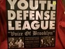 Youth Defense League Voice of Brooklyn vinyl gold LP bonus 7 inch us skinhead oi