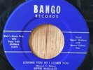 SIPPIE WALLACE blues 45 Loving You As I Loved You / Little Jim   Bango