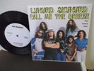 Lynyrd Skynyrd,MCA,