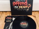 Does It Offend You Yeah? - You Have No Idea What... - Vinyl LP Record Album