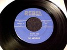 NATURALS I Want You/Hey Girl RARE 1965 TEXAS GARAGE BEAT 45 Original REBEL Hear