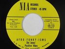 Funk 45 - Del Jones' Positive Vibes - Afro-Funky-Isms - Nia - VG+ mp3