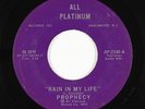 Crossover Soul 45 - Prophecy - Rain In My Life - All Platinum - mp3