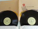 The High Llamas: Snowbug (V2 Alpaca Park VVR1008971) UK Vinyl EX/EX/EX 2xLP