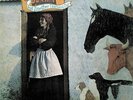 Vashti Bunyan - Just Another Diamond Day  VINYL NEW