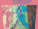 JON/ENO,BRIAN HASSELL - FOURTH WORLD:01 POSSIBLE MUSIC  VINYL LP + CD NEU