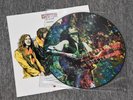 Led Zeppelin - Kashmir LTD Edn Pic LP Picture Disc Vinyl Record Rare Page Plant